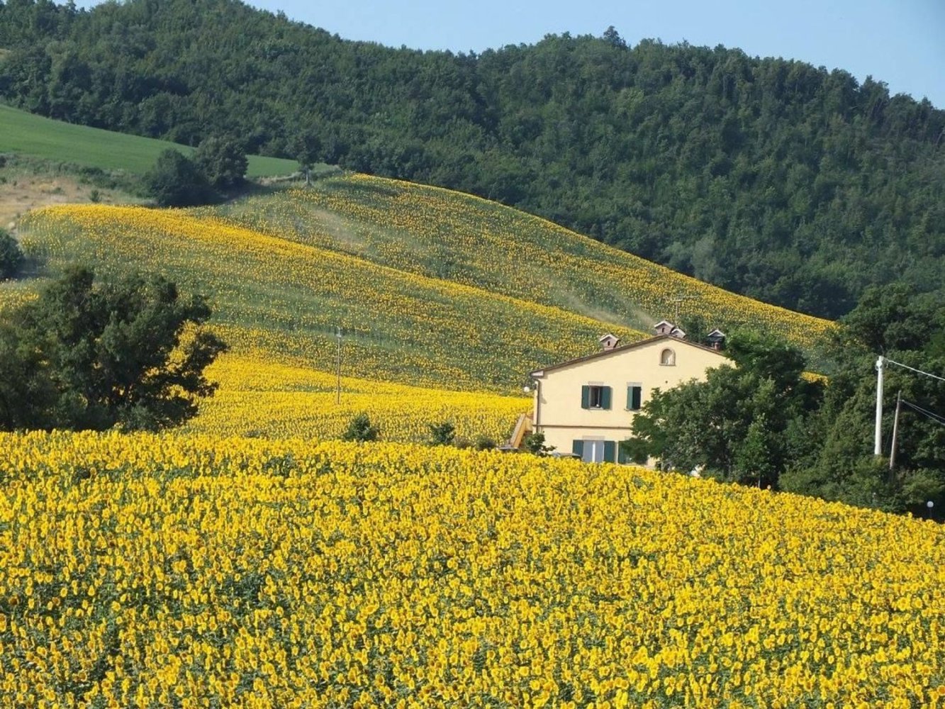 10-Zimmer Haus in Acqualagna, Italy, Nr. 106400