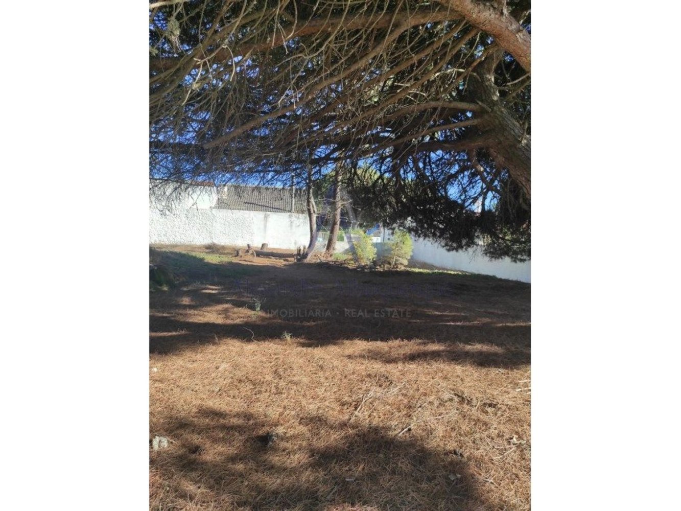 Grundstück in Sesimbra, Portugal, Nr. 343991