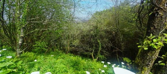 7 bedrooms House in Valenca, Portugal No. 157905 28