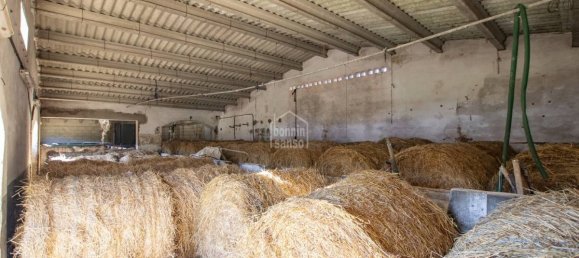 7 chambres Finca à Alaior, Spain No. 5164 14