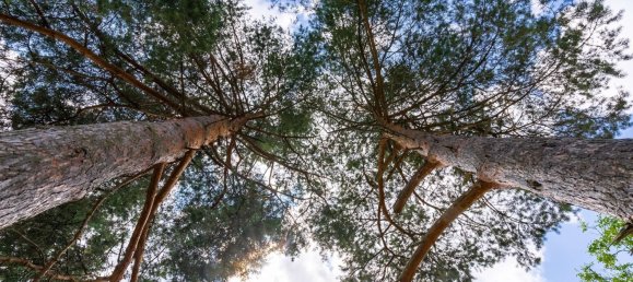 1 bedroom House in Vogelsbergkreis, Germany No. 19896 16