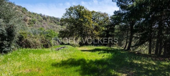 مستودع في Bronte, Italy 811متر مربع رقم 162685 17