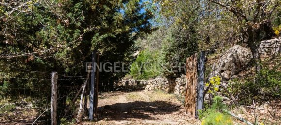 مستودع في Bronte, Italy 811متر مربع رقم 162685 16