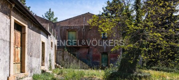 مستودع في Bronte, Italy 811متر مربع رقم 162685 26