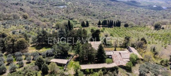 مستودع في Bronte, Italy 811متر مربع رقم 162685 30