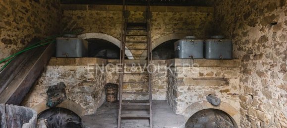 مستودع في Bronte, Italy 811متر مربع رقم 162685 36