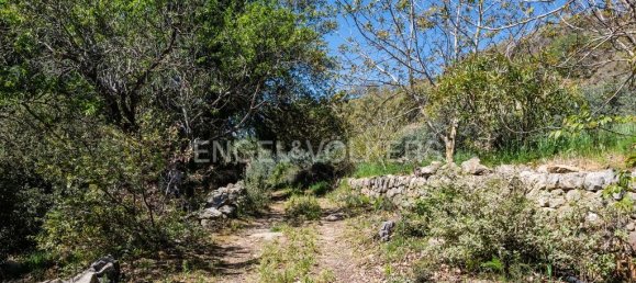 مستودع في Bronte, Italy 811متر مربع رقم 162685 15