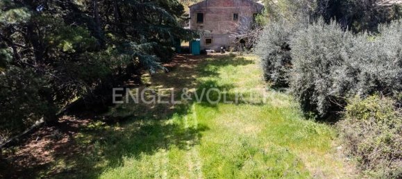 مستودع في Bronte, Italy 811متر مربع رقم 162685 29