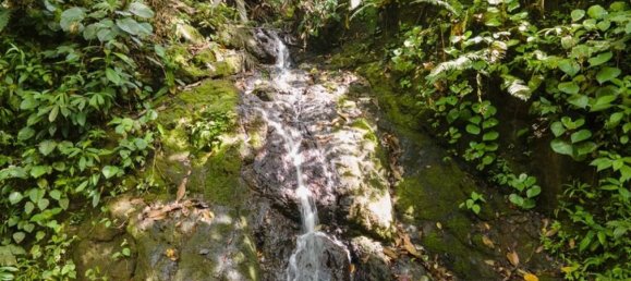terreno en venta en Savegre, Quepos, Puntarenas, Costa Rica № 2041 3