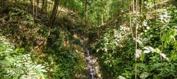 terreno en venta en Savegre, Quepos, Puntarenas, Costa Rica № 2041 4