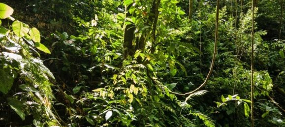 terreno en venta en Savegre, Quepos, Puntarenas, Costa Rica № 2041 5