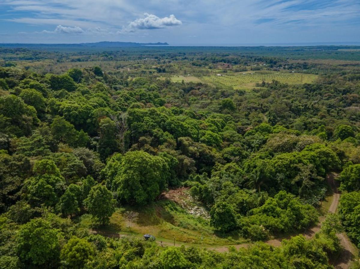 terreno en venta en Savegre, Quepos, Puntarenas, Costa Rica № 2041