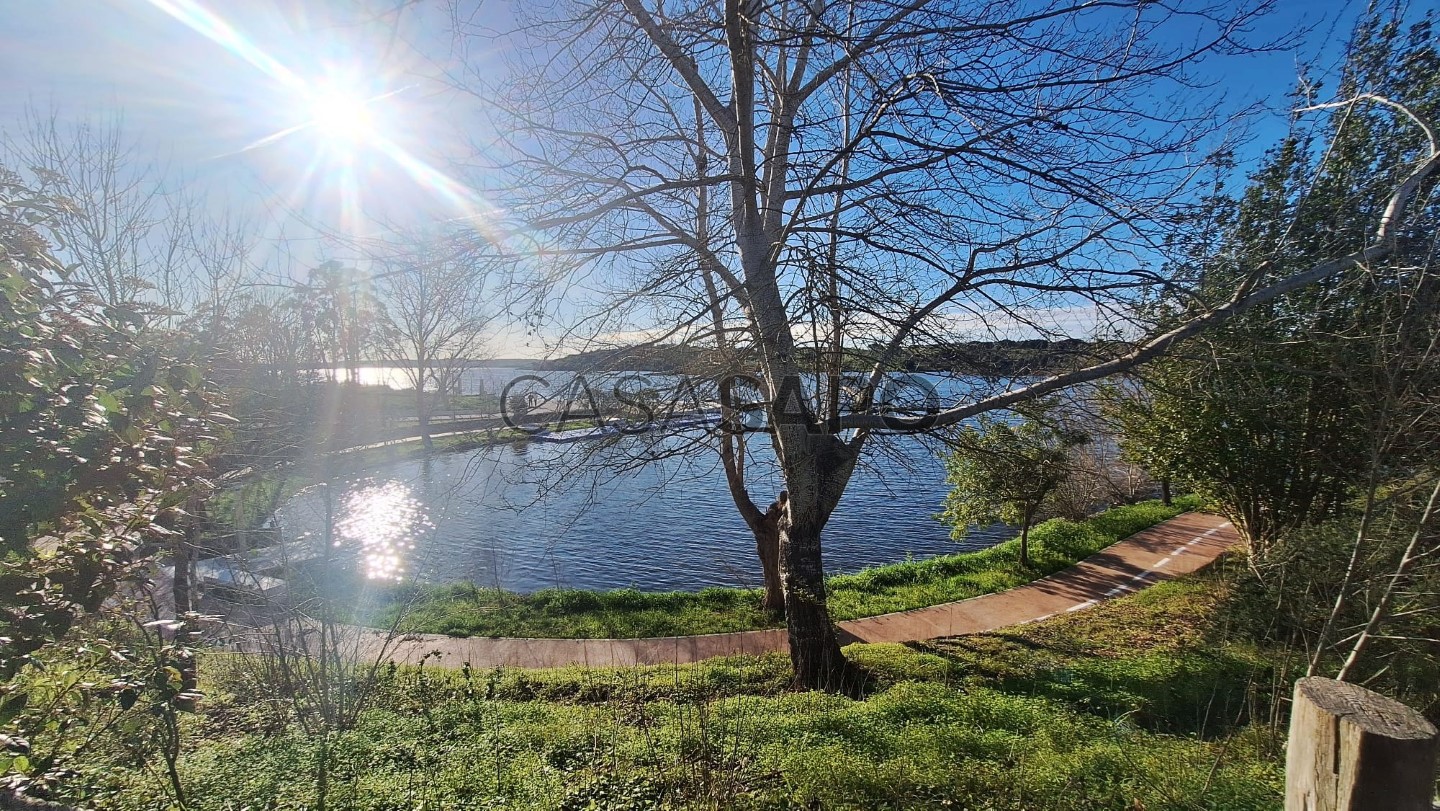 Terreno en Avis, Portugal 59700 m² No. 333574