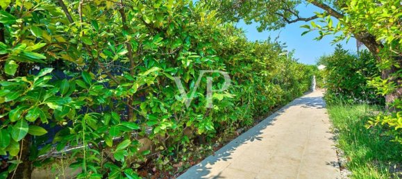 4-Zimmer Doppelhaus in Lazise, Italy, Nr. 28226 60