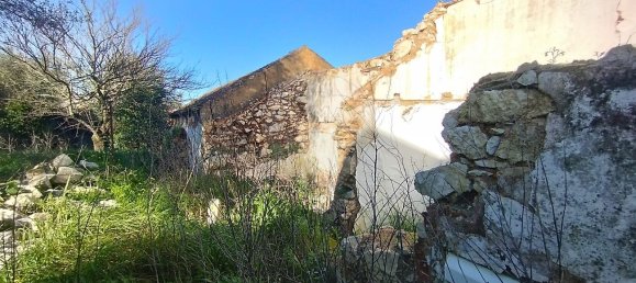 3 Schlafzimmer Haus in Alenquer, Portugal, Nr. 46043 4