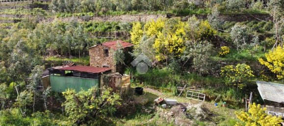 Studio in Soldano, Italy, Nr. 90309 12