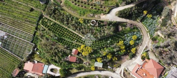 Studio in Soldano, Italy, Nr. 90309 5