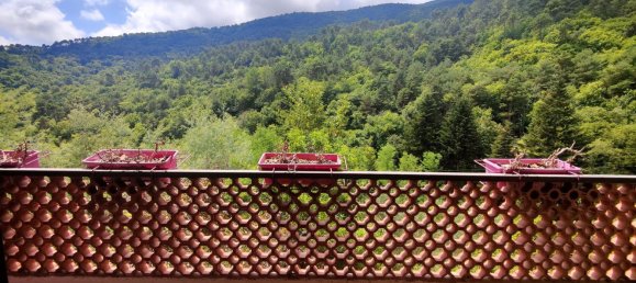 3-Zimmer Haus in Ceriana, Italy, Nr. 267907 8