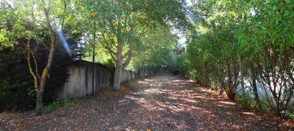 10 bedrooms House in Covilha, Portugal No. 170273 7