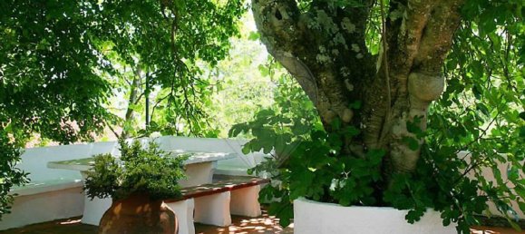 10 bedrooms House in Covilha, Portugal No. 170273 19