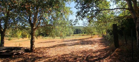 10 bedrooms House in Covilha, Portugal No. 170273 8