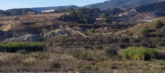 1 bedroom House in San Miguel de Salinas, Spain No. 174634 8