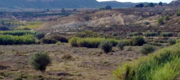 1 bedroom House in San Miguel de Salinas, Spain No. 174634 7