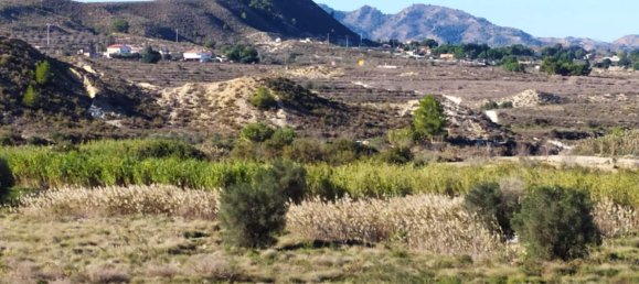 1 bedroom House in San Miguel de Salinas, Spain No. 174634 2