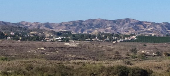 1 bedroom House in San Miguel de Salinas, Spain No. 174634 6