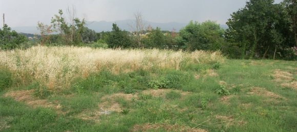  قطعة أرض في Civitella d'Agliano, Italy 1380متر مربع رقم 142929 5