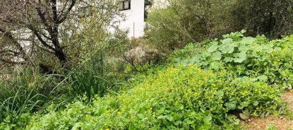 قطعة أرض في Coin, Spain رقم 145715 5