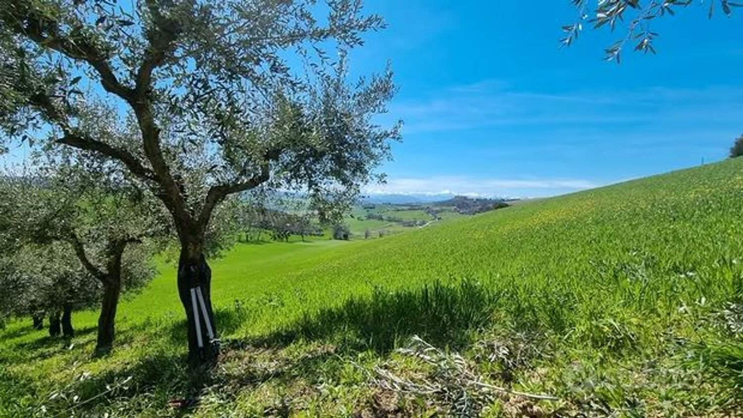  Land in Fermo, Italy No. 396162