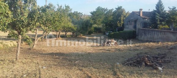 3 bedrooms House in Morro d'Oro, Italy No. 281038 5