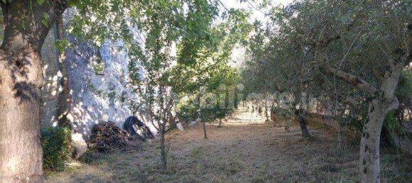 3 bedrooms House in Morro d'Oro, Italy No. 281038 7