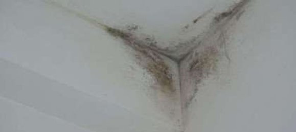 4 rooms Apartment in Rome, Italy No. 198691 10