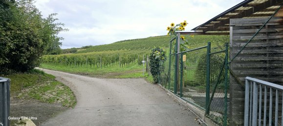 Casa de 3 dormitorios en Mainz-Bingen, Germany No. 129185 15