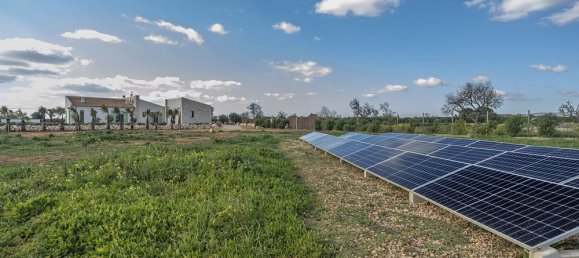 3 bedrooms Villa in Campos, Spain No. 16239 30