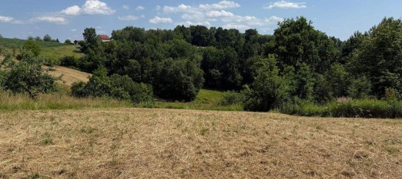 Terreno em Burgauberg-Neudauberg, Austria N.º 131581 3