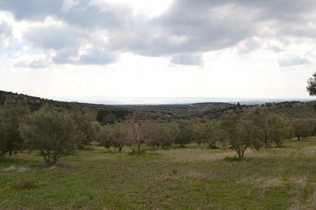 105000m² Hotel in Polygyros, Greece No. 6407