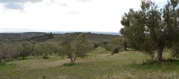 105000m² Hotel in Polygyros, Greece No. 6407 3