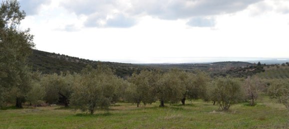 105000m² Hotel in Polygyros, Greece No. 6407 2