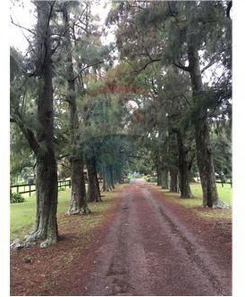  Land in Exaltacion de la Cruz, Argentina No. 31309