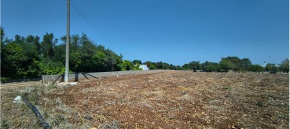 3-Zimmer Haus in Polignano a Mare, Italy, Nr. 290184 7