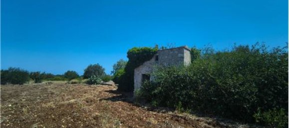 3-Zimmer Haus in Polignano a Mare, Italy, Nr. 290184 6