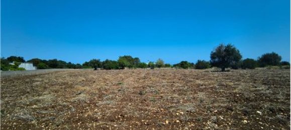 3-Zimmer Haus in Polignano a Mare, Italy, Nr. 290184 3