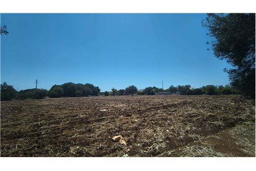 3-Zimmer Haus in Polignano a Mare, Italy, Nr. 290184