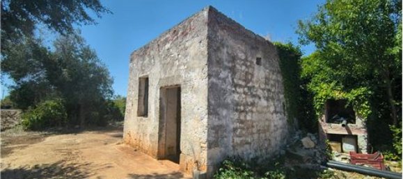 3-Zimmer Haus in Polignano a Mare, Italy, Nr. 290184 2