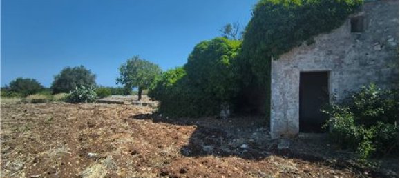 3-Zimmer Haus in Polignano a Mare, Italy, Nr. 290184 5