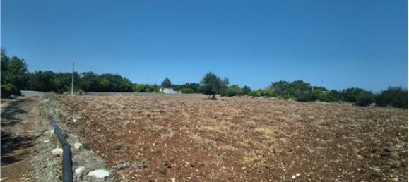 3-Zimmer Haus in Polignano a Mare, Italy, Nr. 290184 4