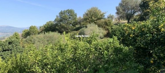 1 room Land in Maierato, Italy No. 310935 4
